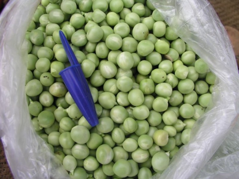 Ⓒ Adeka et al., Foods of Nairobi people, 2005