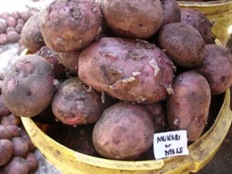 © Adeka et al., 2006