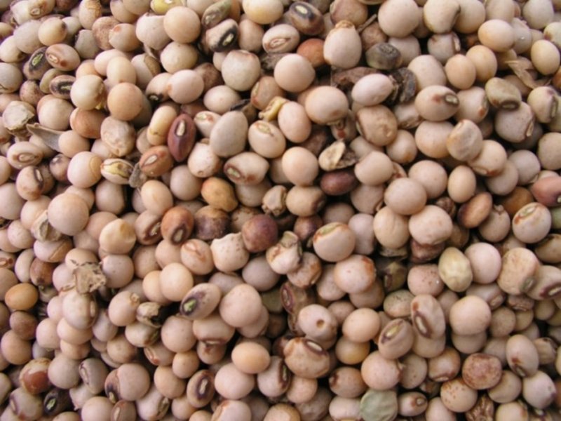 Ⓒ Adeka et al., 2005. Foods of Nairobi people