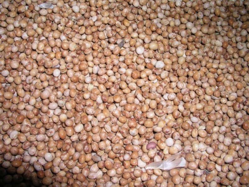 Ⓒ Adeka et al., 2005. Foods of Nairobi people