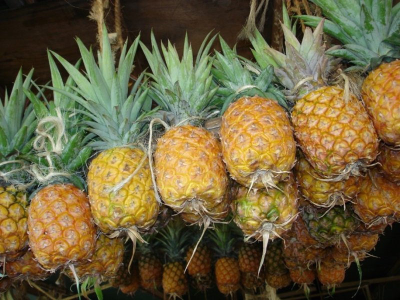 Ⓒ Adeka et al., 2005. Foods of Nairobi people
