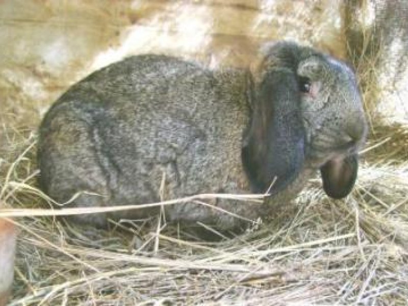 © Valerie Corr, Naivasha, Kenya