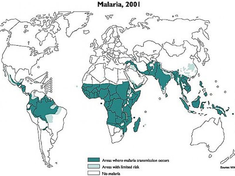 © WHO (World Health Organization) (http://www.who.int/ith/en/)