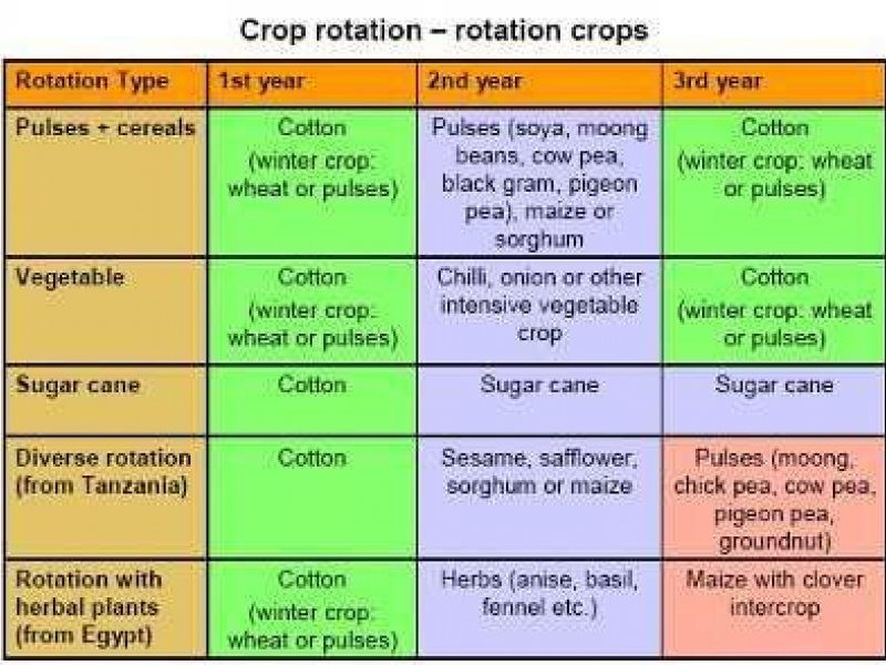 Ⓒ Frank Eyhorn, Research Institute of Organic Agriculture FibL (www.fibl.org) 	