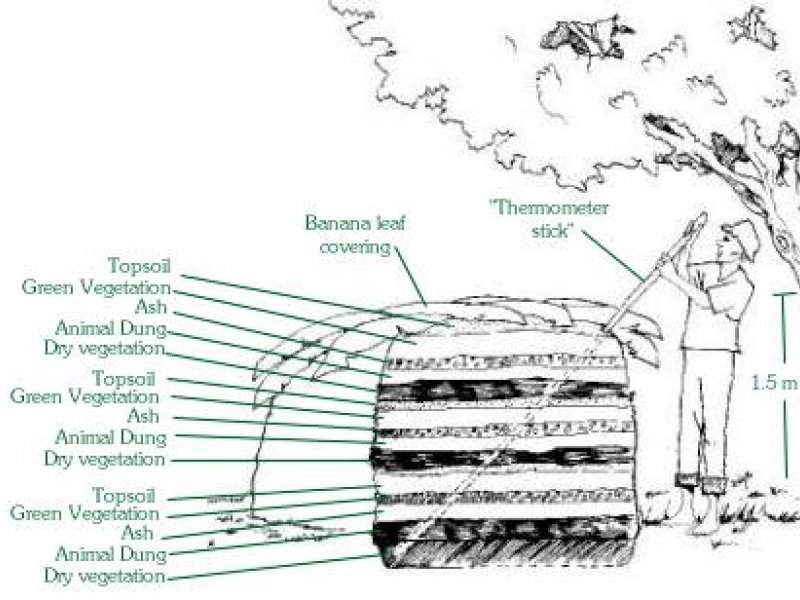 © Reproduced from Sustainable Agriculture Extension Manual (IIRR)